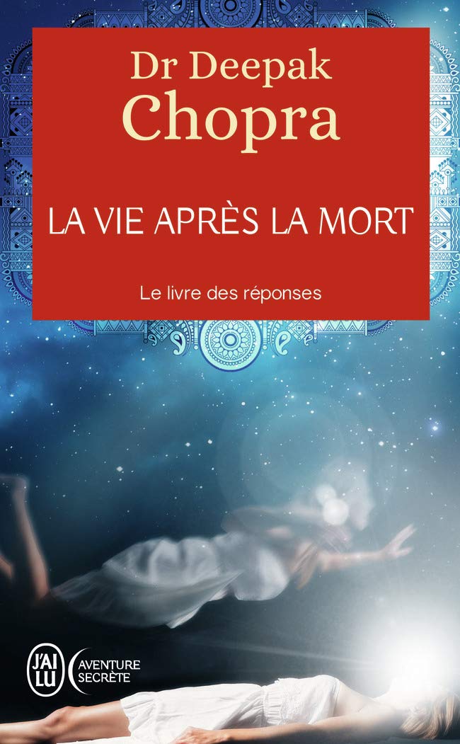 La vie après la mort: Le livre des réponses book