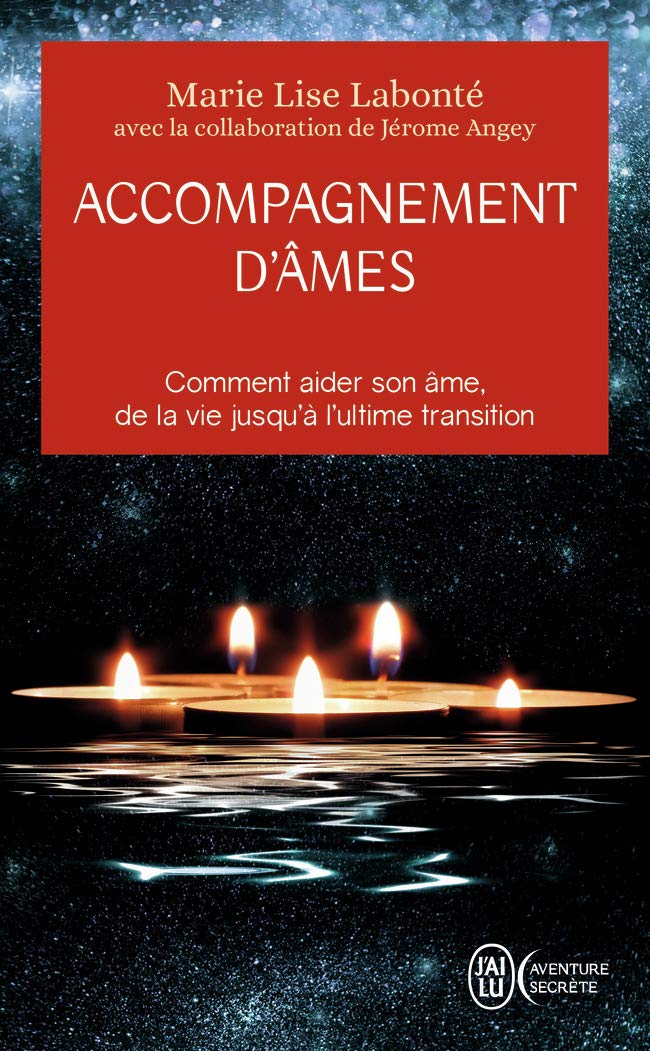 Accompagnement d'âmes: Comment aider son âme, de la vie jusqu'à l'ultime transition book