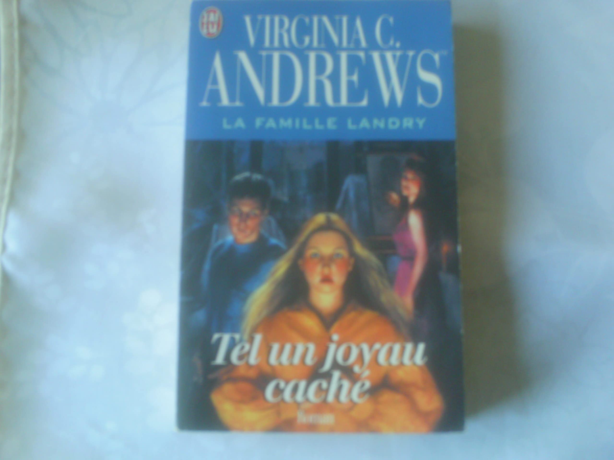 La famille Landry. Vol. 4. Tel un joyau caché book