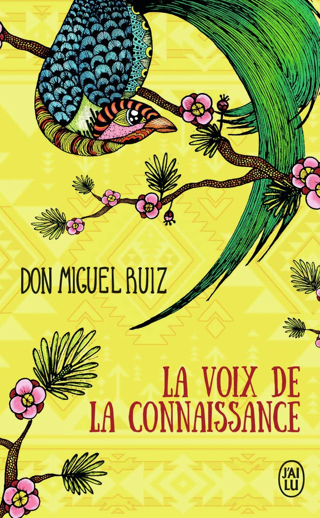 La voix de la connaissance: Un guide pratique vers la paix intérieure Religion & Esotericism