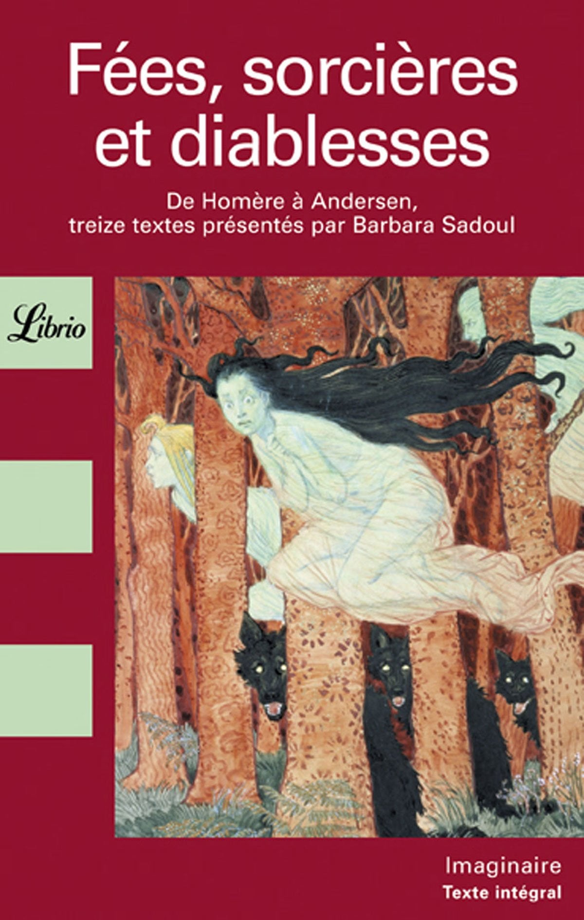 Fées, sorcières ou diablesses book