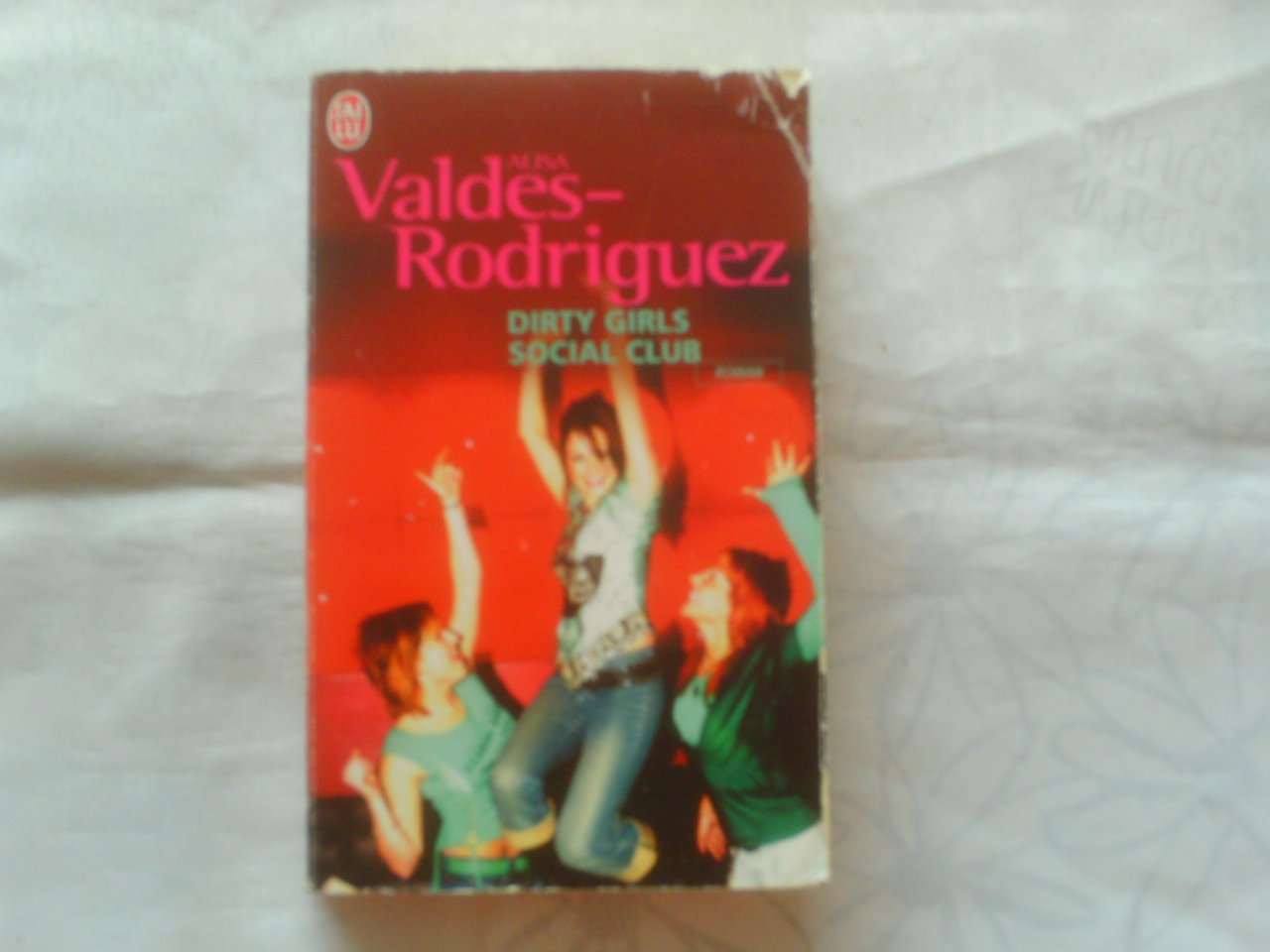 Dirty Girls Social Club book