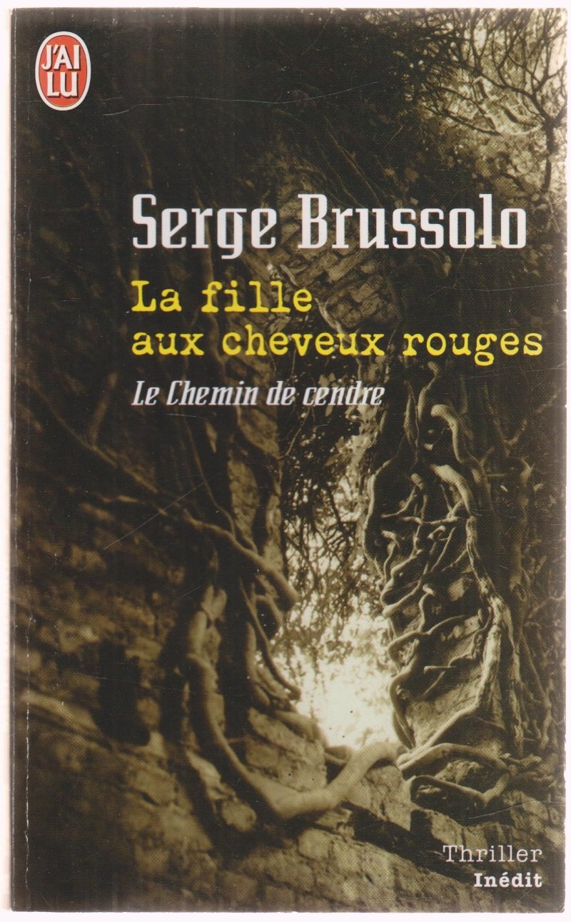 La fille aux cheveux rouges: tome 1, Le chemin de cendre book