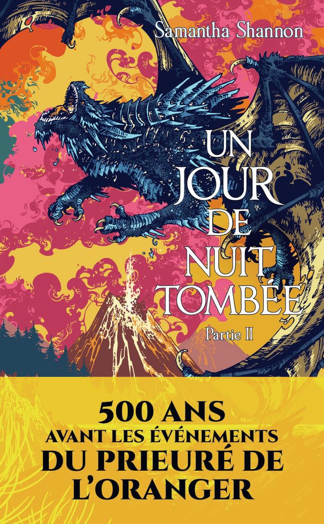 Un jour de nuit tombée: Partie II book