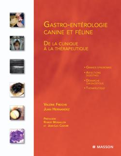 Gastro-entérologie canine et féline : de la clinique à la thérapeutique Medicine
