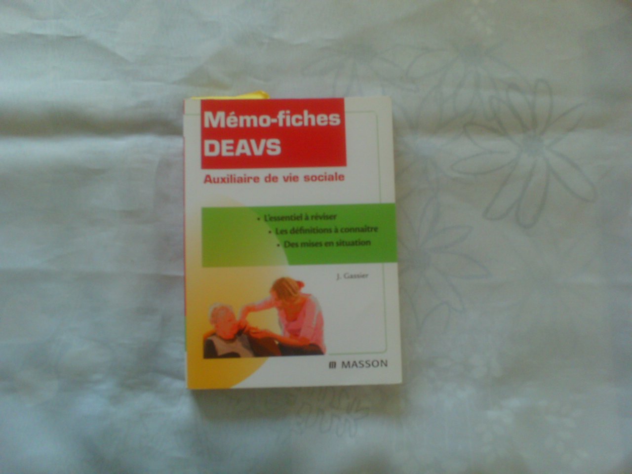 Mémo-fiches Deavs: Auxiliaire de vie sociale Medicine