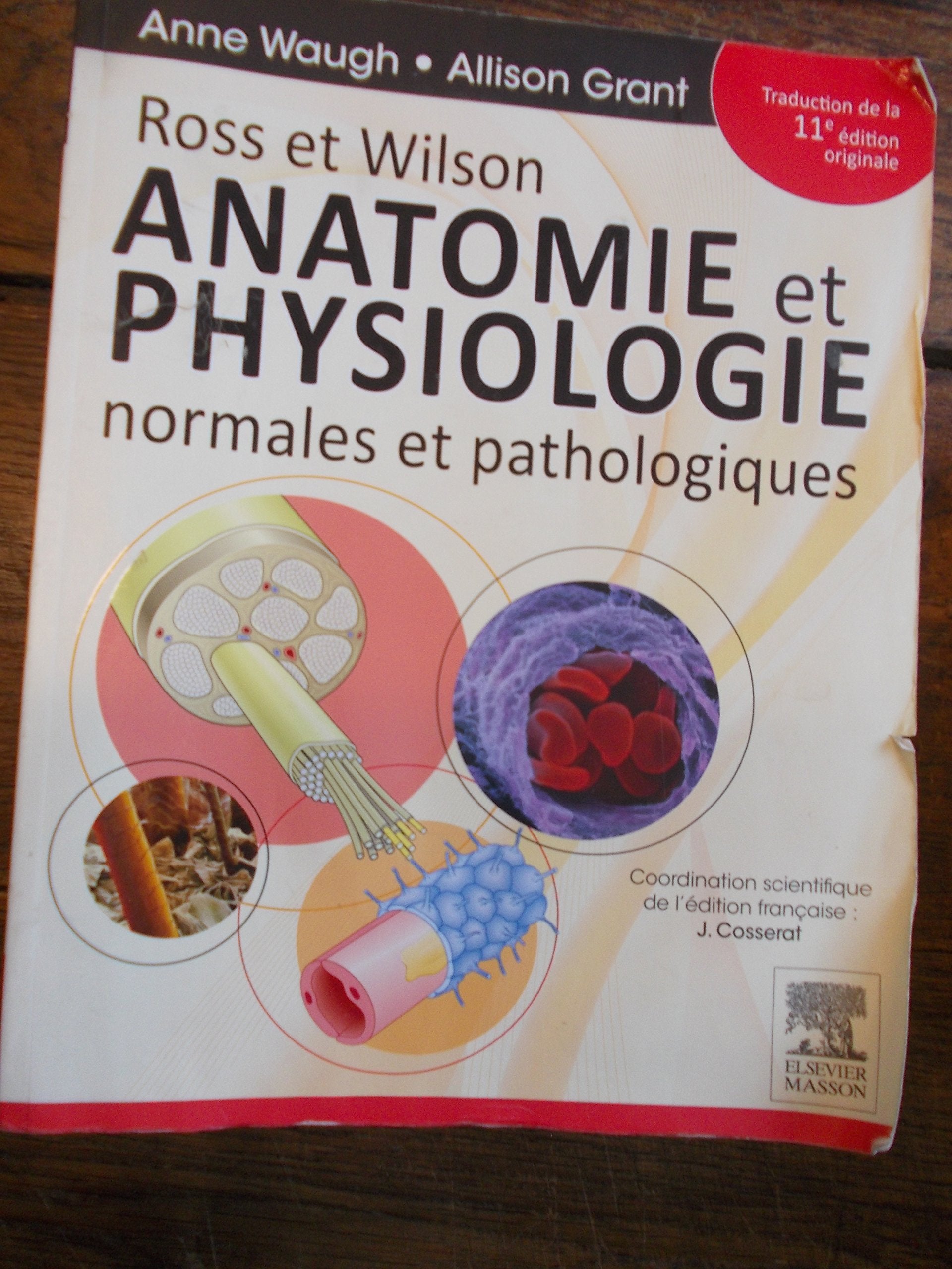 Ross et Wilson: Anatomie et physiologie normales et pathologiques book