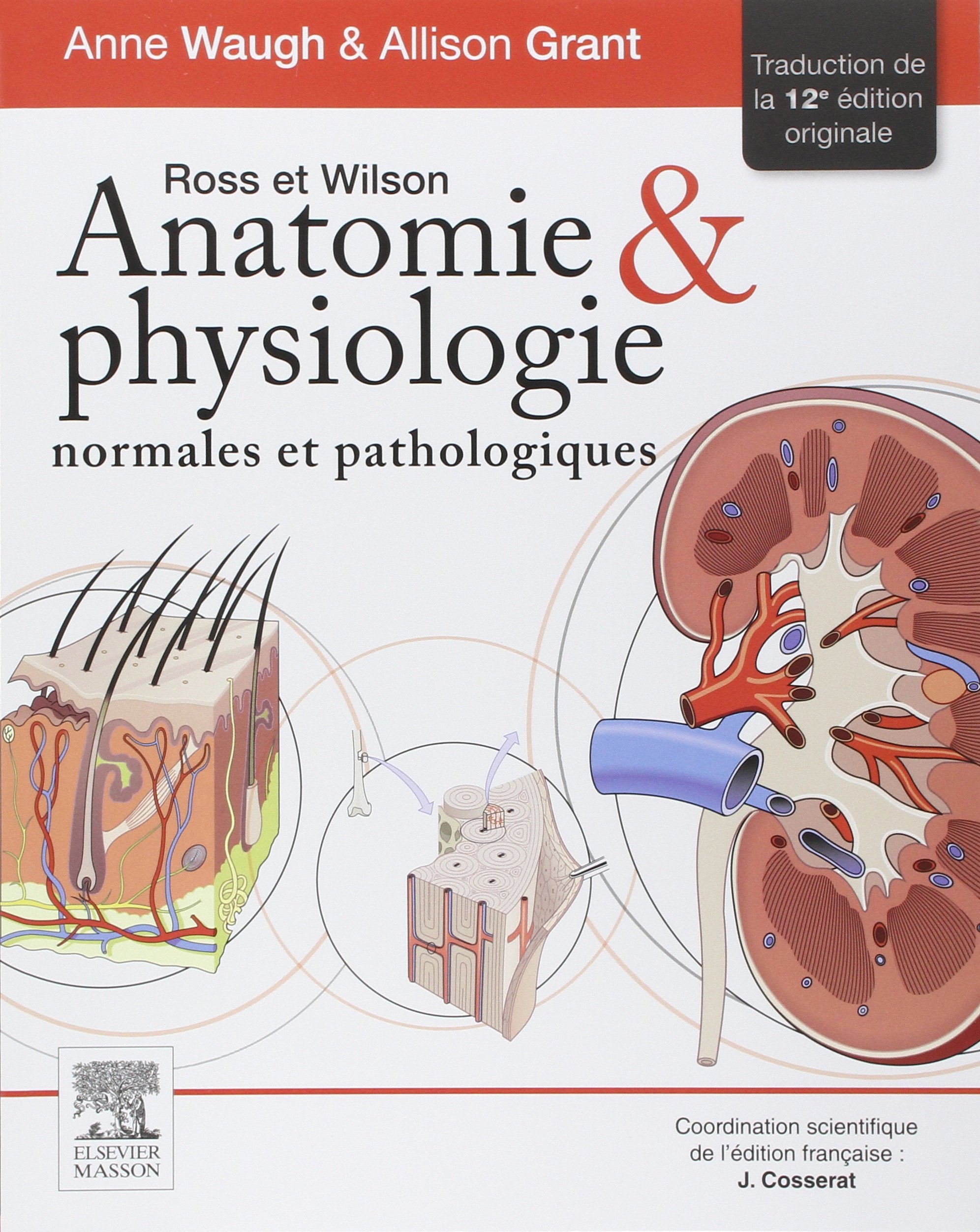 Ross Et Wilson: Anatomie Et Physiologie Normales Et Pathologiques Medicine