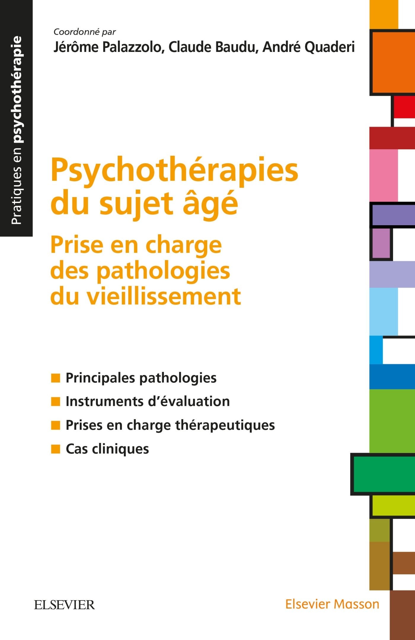 Psychothérapies du sujet âgé: Prise en charge des pathologies du vieillissement book