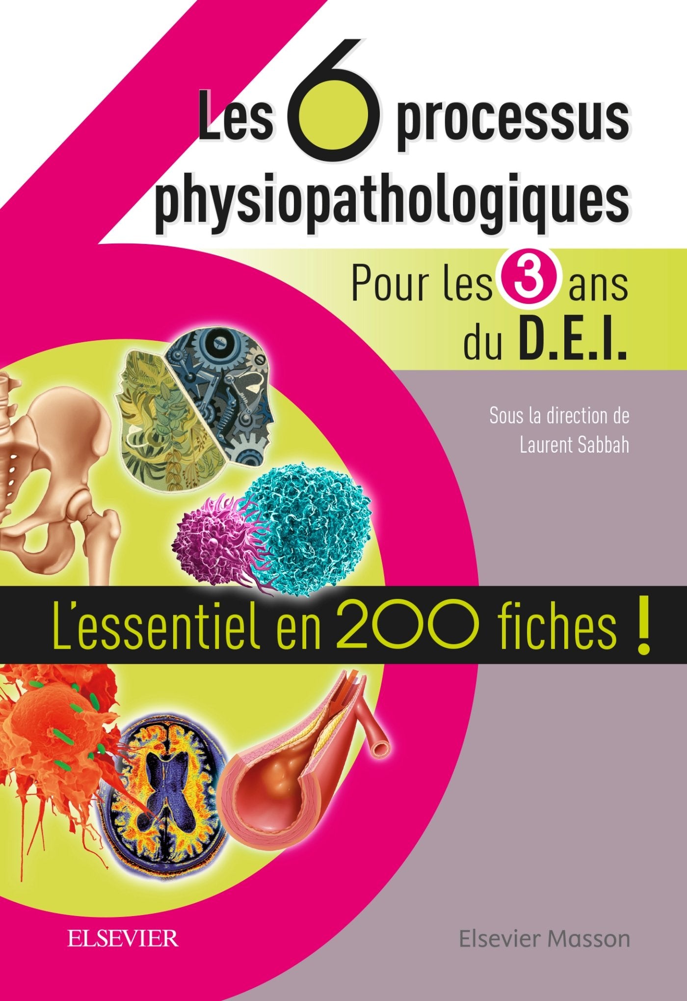 Les 6 processus physiopathologiques - Pour les 3 ans du D.E.I: L'essentiel en 200 fiches ! book