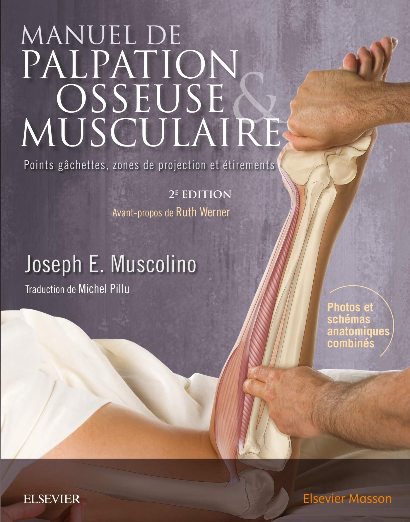 Manuel de palpation osseuse et musculaire, 2e édition: Points gâchettes, zones de projection et étirements book