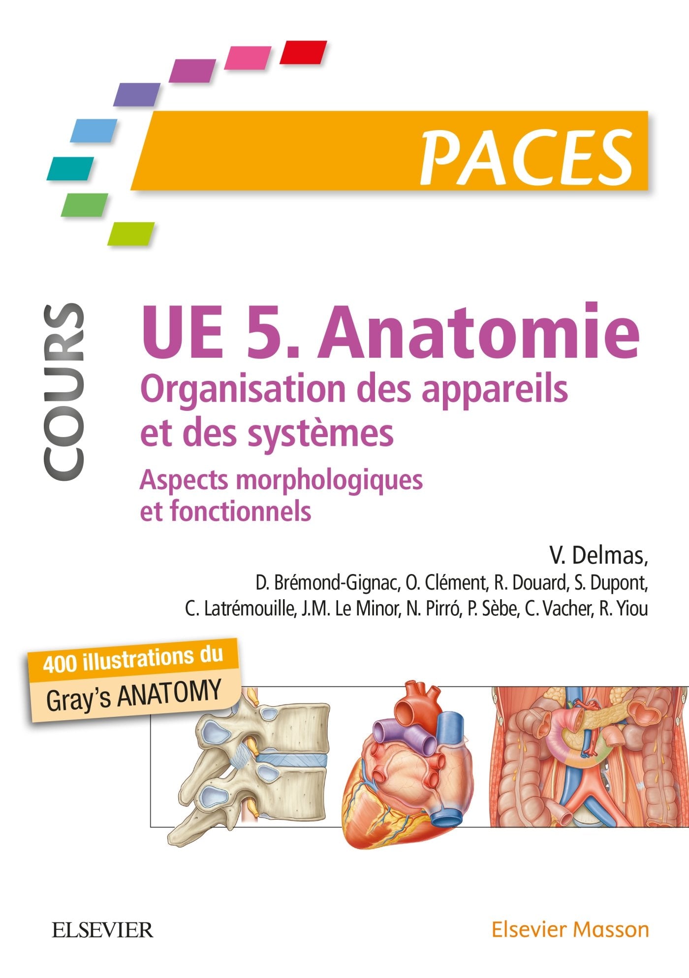 UE 5 - Anatomie (Cours): Organisation des appareils et des systèmes - Aspects morphologiques et fonctionnels. Nouvelle présen Medicine