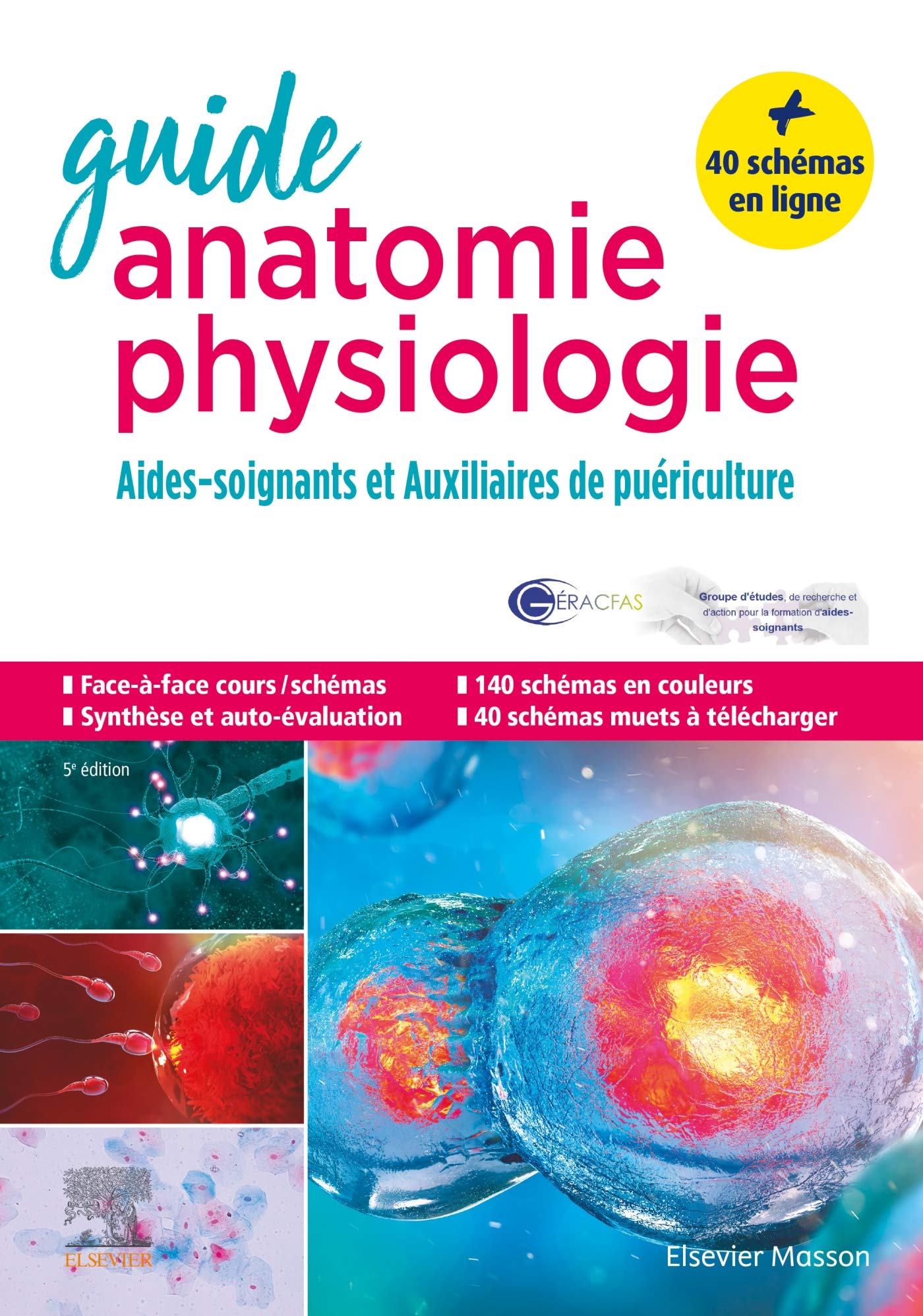 Guide anatomie et physiologie pour les AS et AP: Aides-soignants et Auxiliaires de puériculture - La référence book