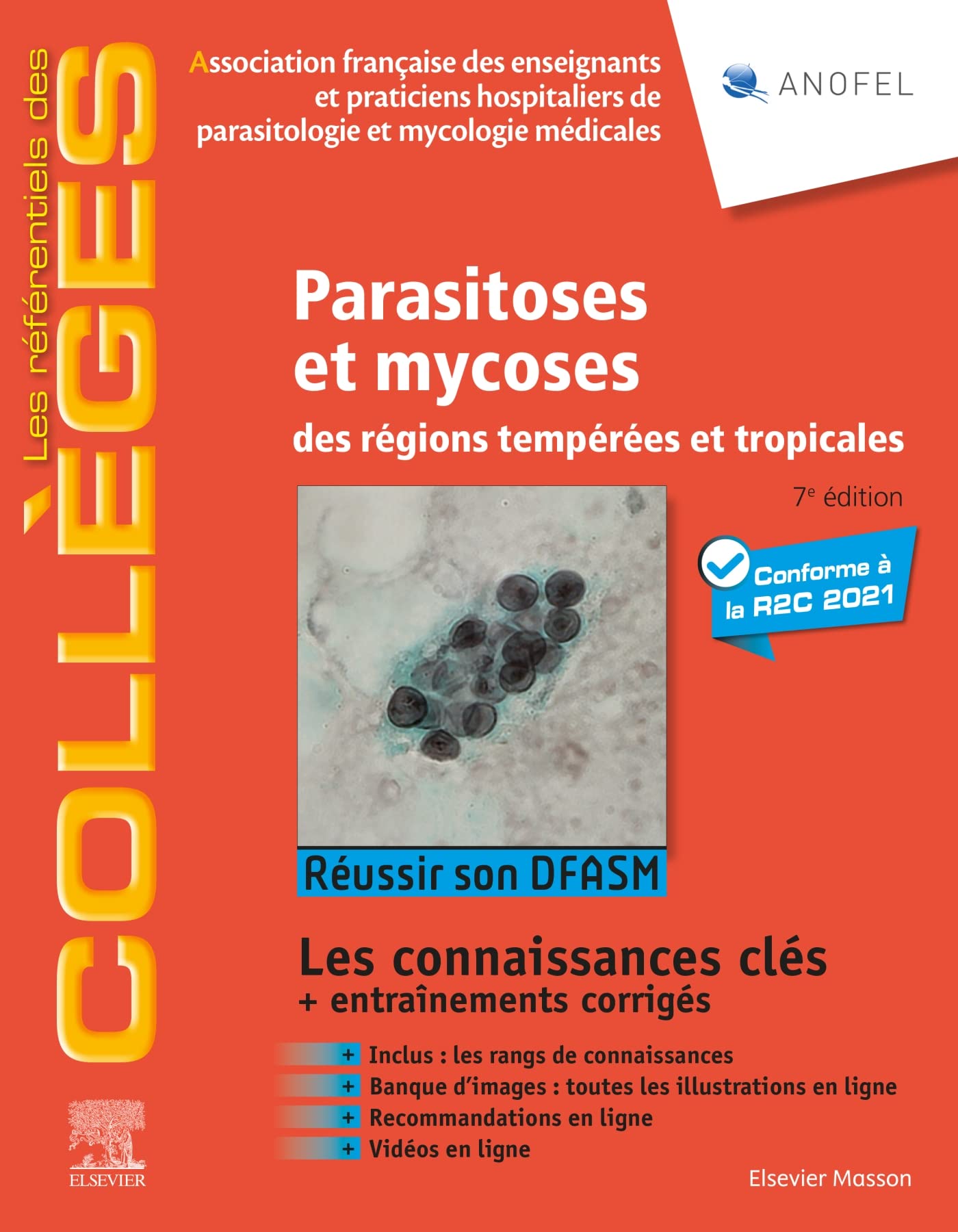 Parasitoses et mycoses: des régions tempérées et tropicales ; Réussir son DFASM - Connaissances clés book