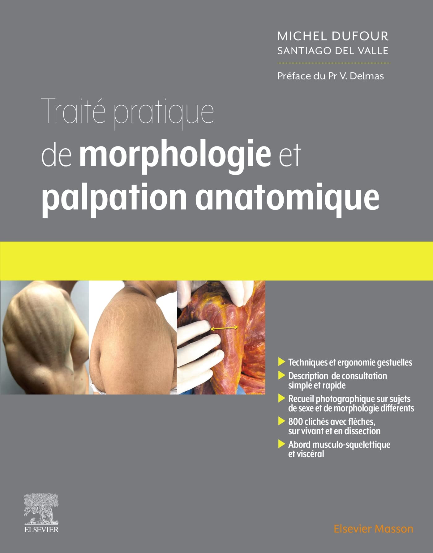 Traité pratique de Morphologie et palpation anatomique book