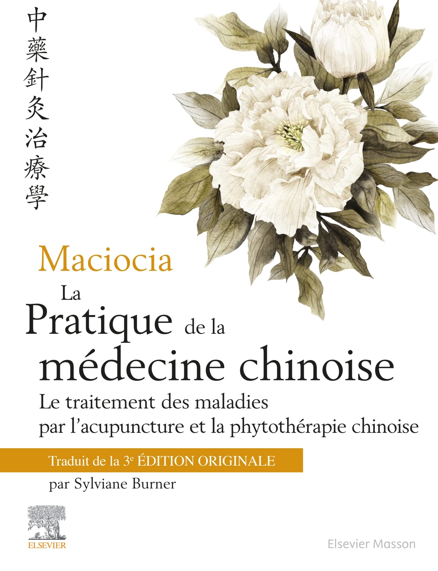 Maciocia La pratique de la médecine chinoise: Traitement des maladies par l'acupuncture et la phytothérapie chinoise Medicine