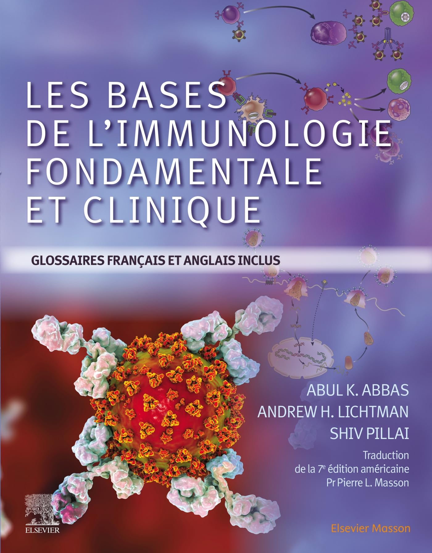 Les bases de l'immunologie fondamentale et clinique Medicine