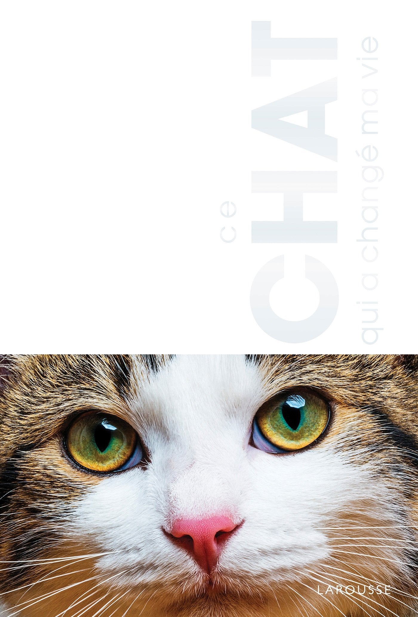 Le chat qui a changé ma vie (version à plier) book