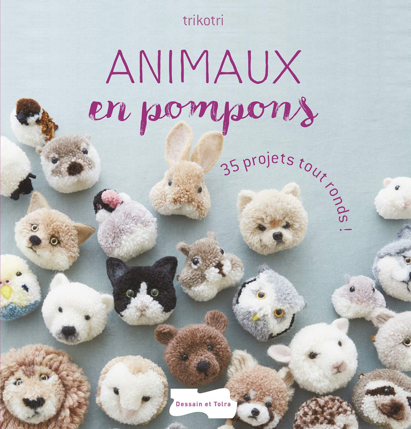 Animaux en pompons: 35 projets tout ronds Leisure, Home & Garden