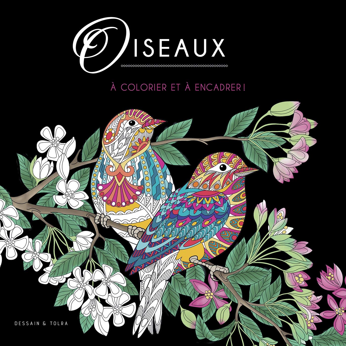 Oiseaux: A colorier et à encadrer ! book