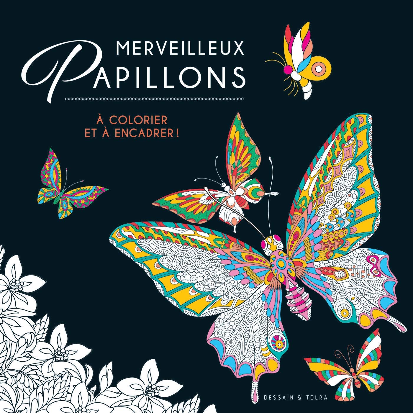 Merveilleux papillons book