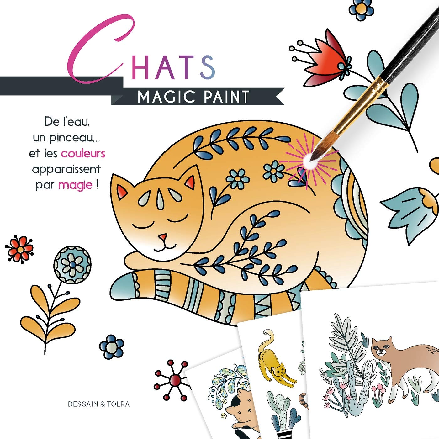 Magic Paint Chats: Avec un pinceau inclus Leisure, Home & Garden