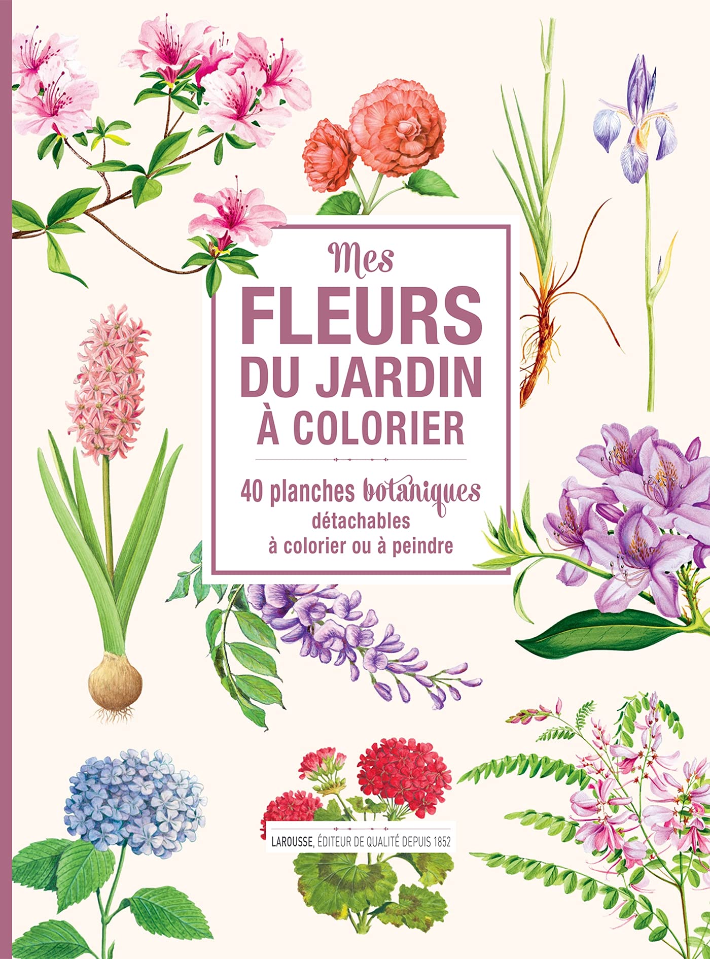Mes fleurs du jardin à colorier: 40 planches botaniques détachables à colorier ou à peindre Leisure, Home & Garden