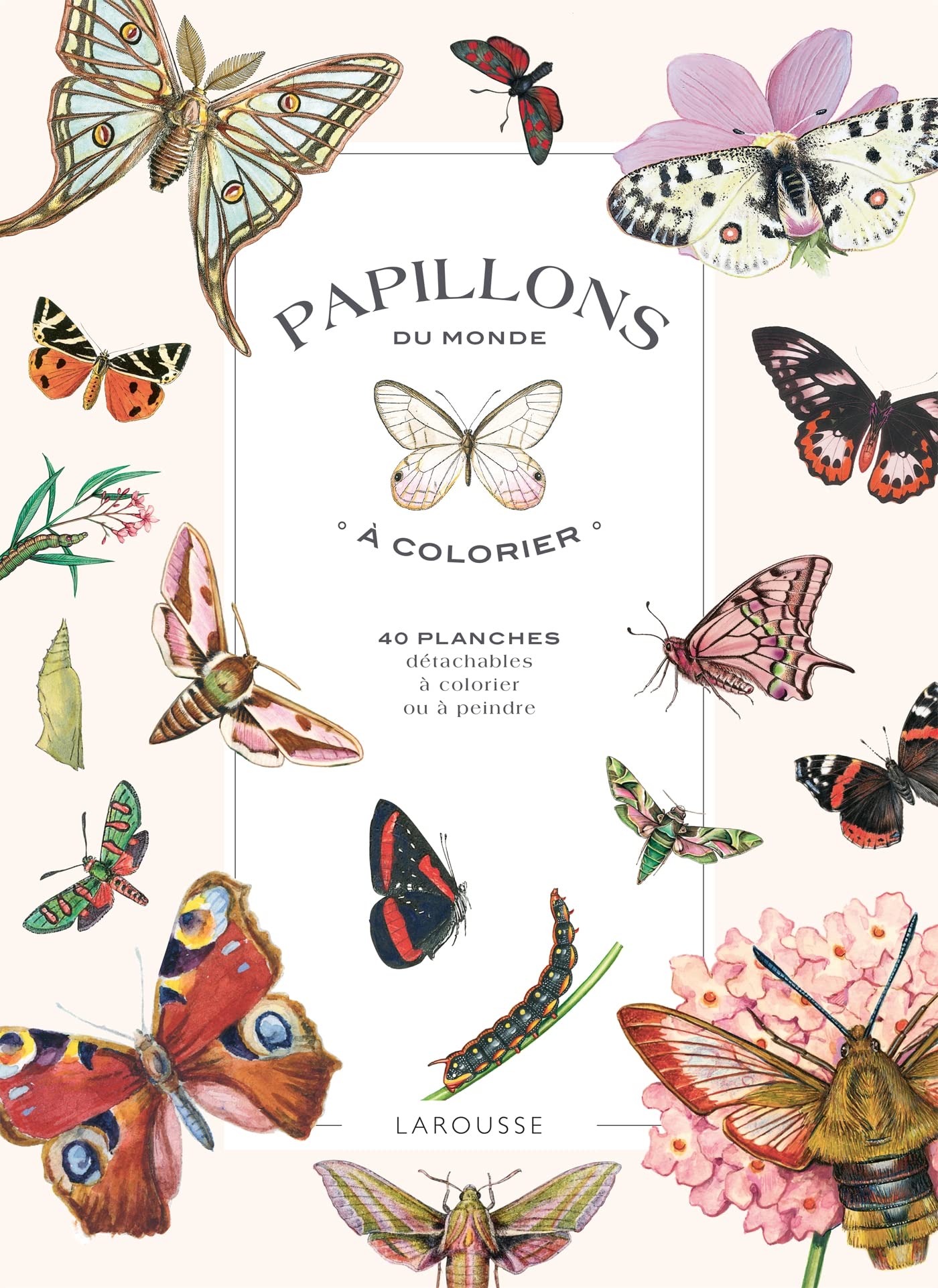 Papillons du monde à colorier: 40 planches détachables à colorier ou à peindre Leisure, Home & Garden