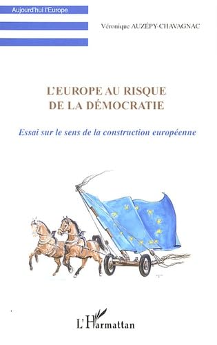 L'Europe au risque de la démocratie : Essai sur le sens de la construction européenne book