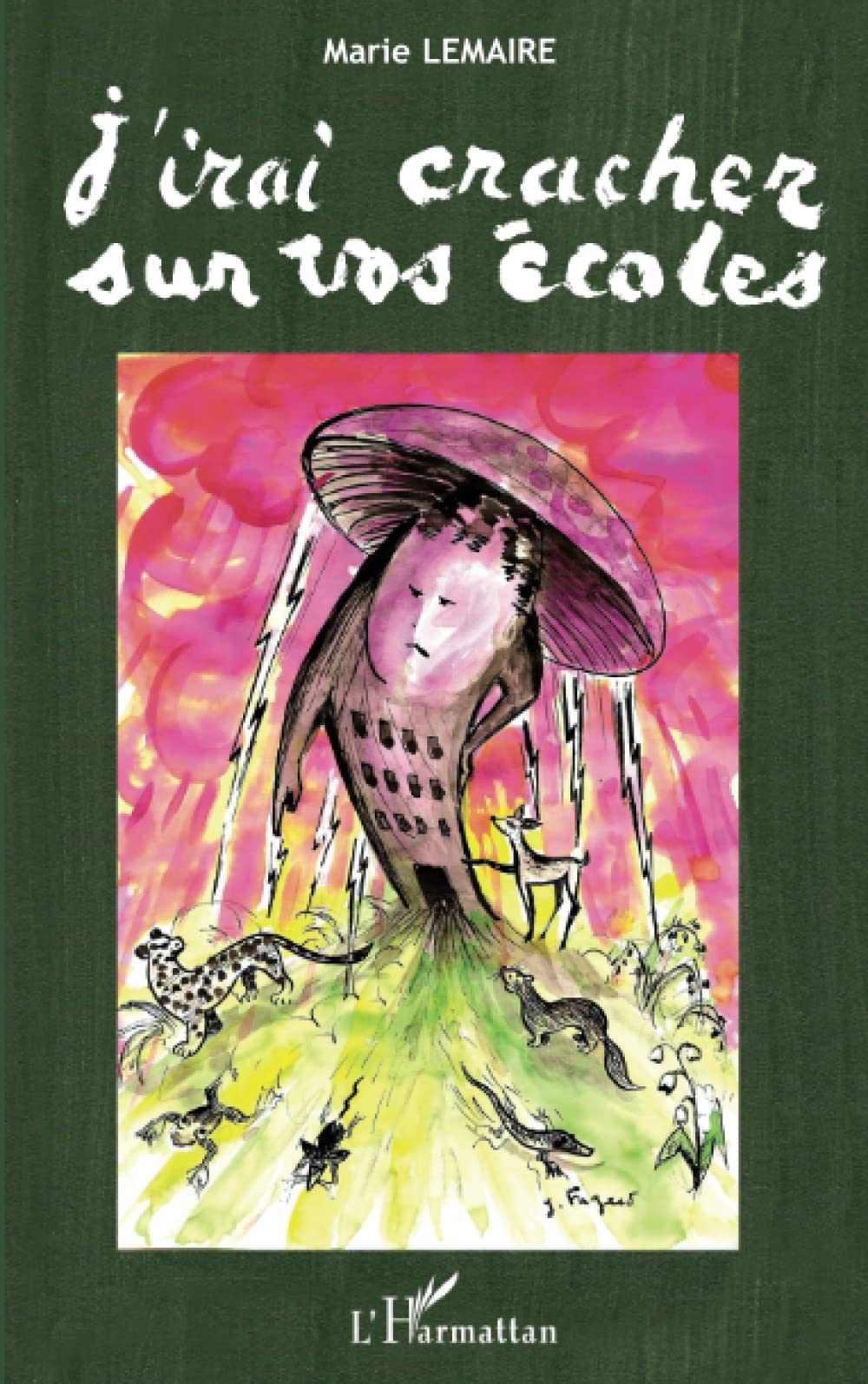 J'irai cracher sur vos écoles book
