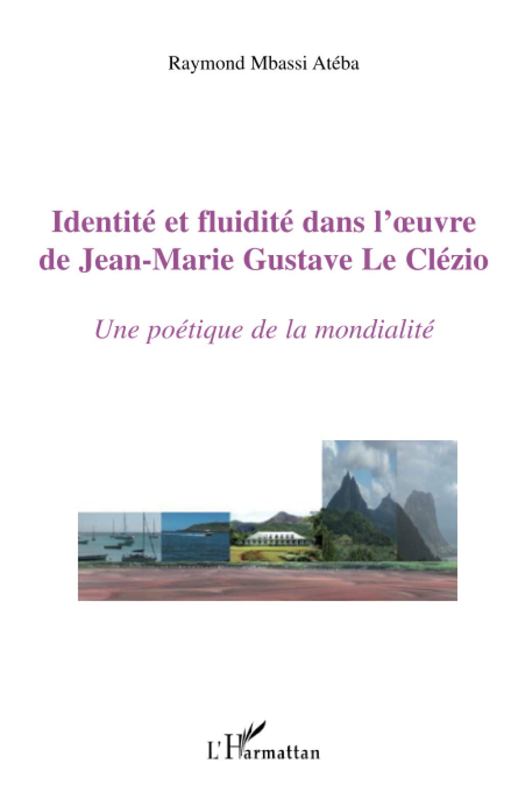 Identité et fluidité dans l'oeuvre de Jean-Marie Gustave Le Clézio book