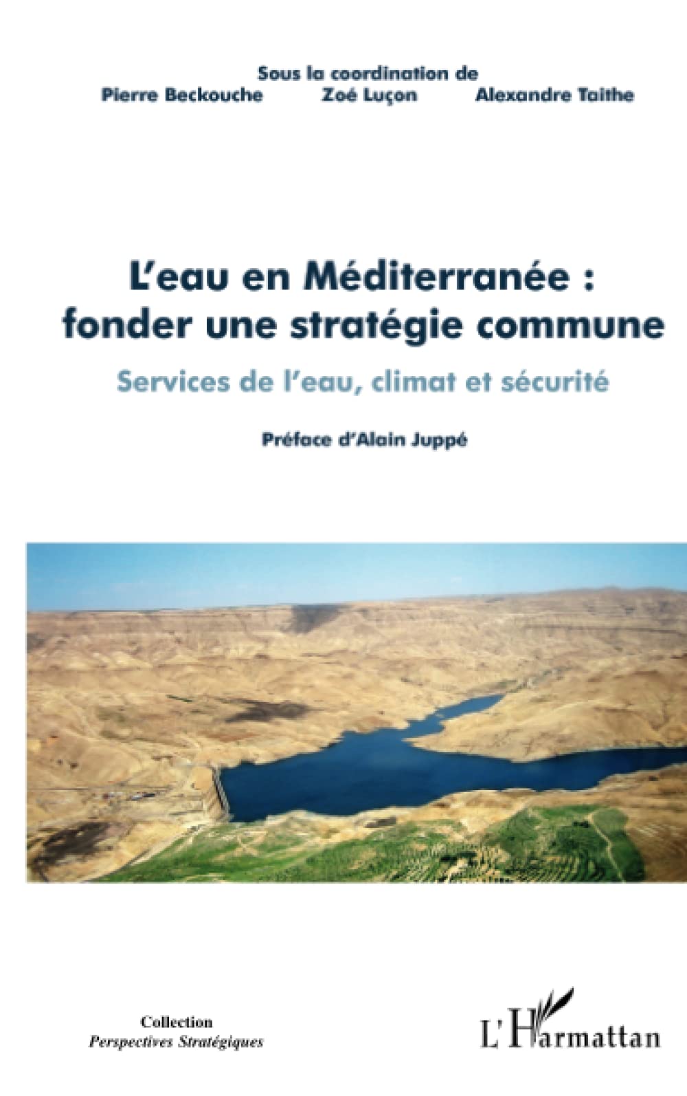 L'eau en Méditerranée : fonder une stratégie commune: Services de l'eau, climat et sécurité Actes du colloque tenu le 17 décembre à Paris Social Sciences