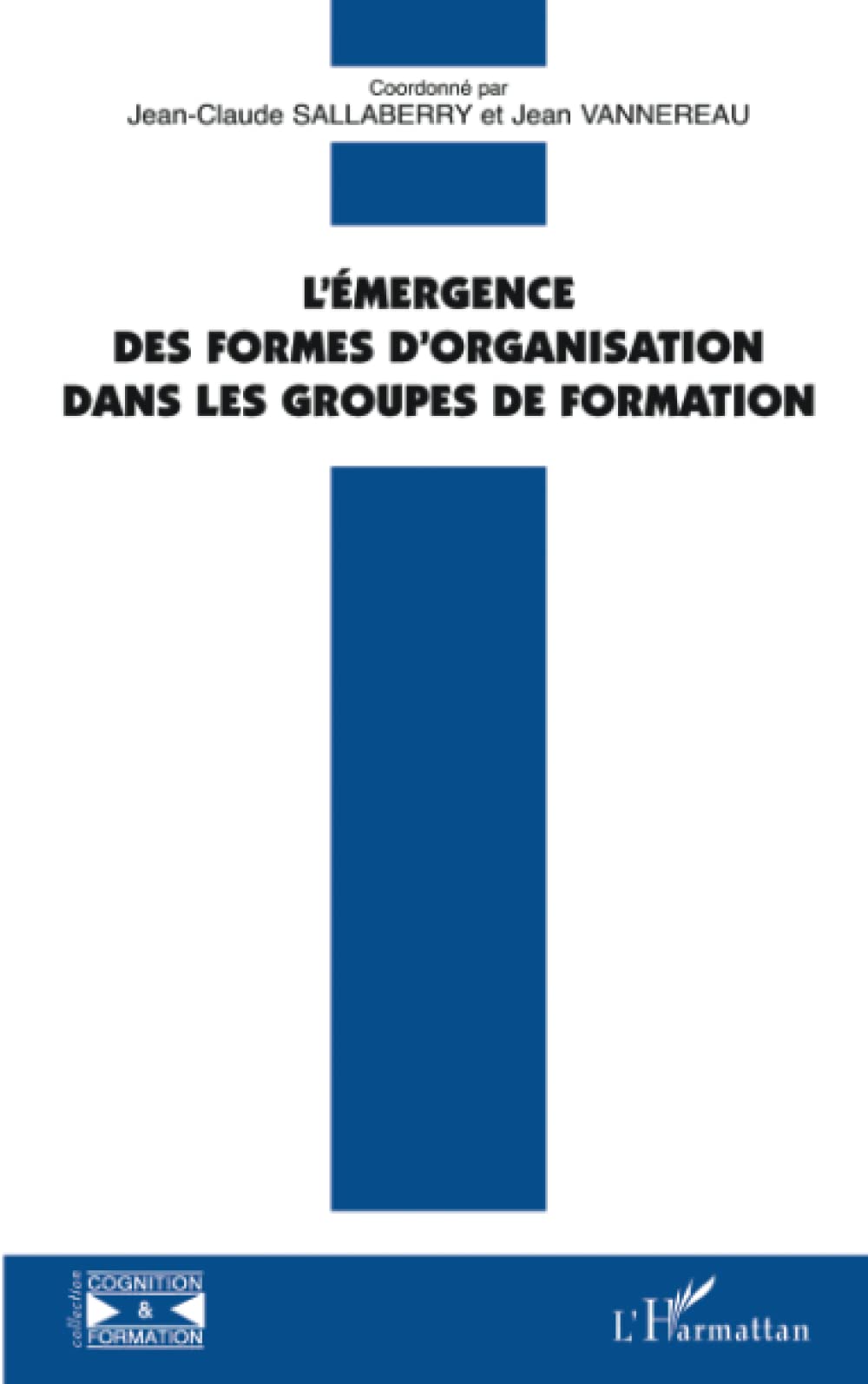 L'émergence des formes d'organisation dans les groupes de formation book