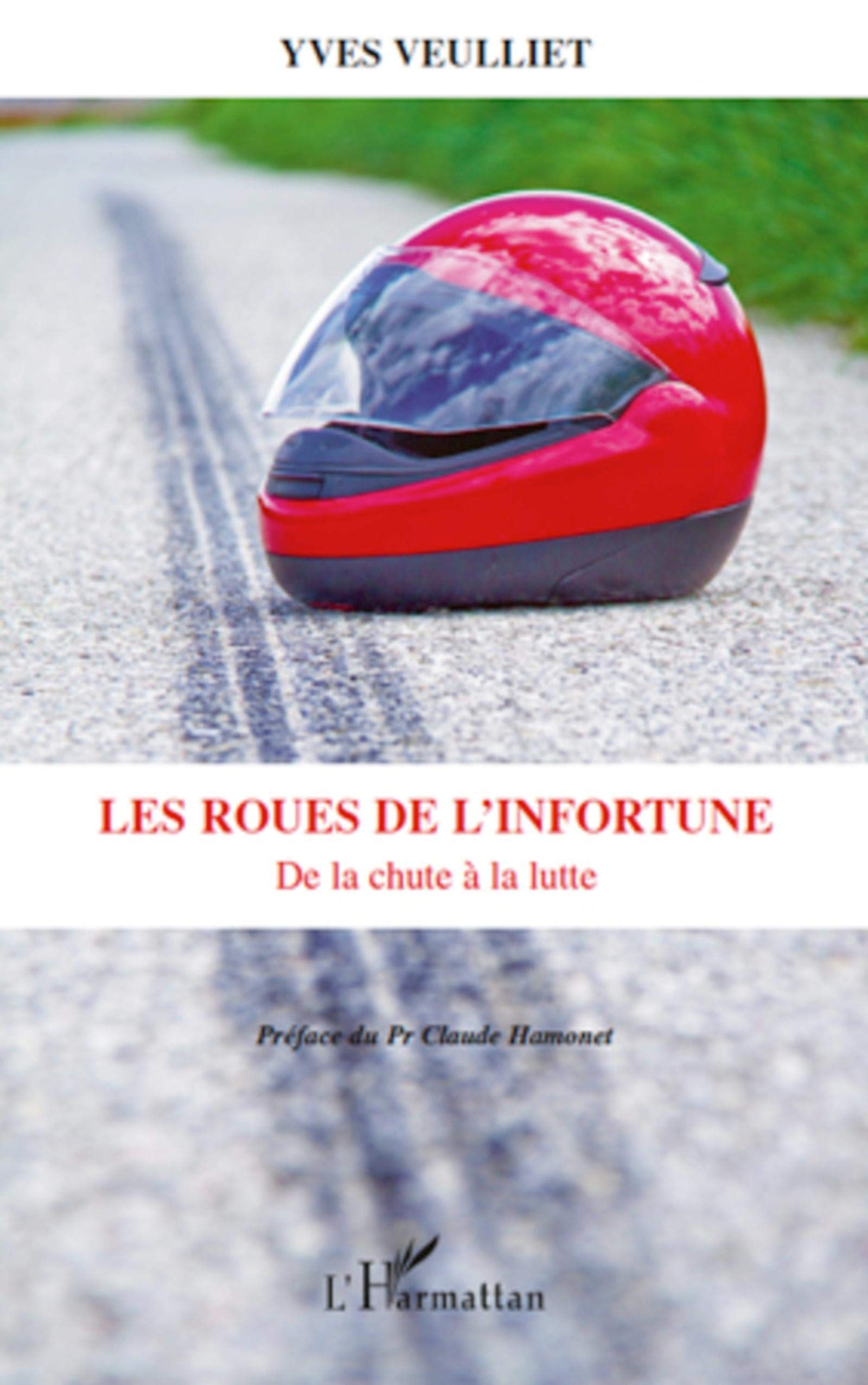 Les Roues de l'Infortune : De la Chute à la Lutte book