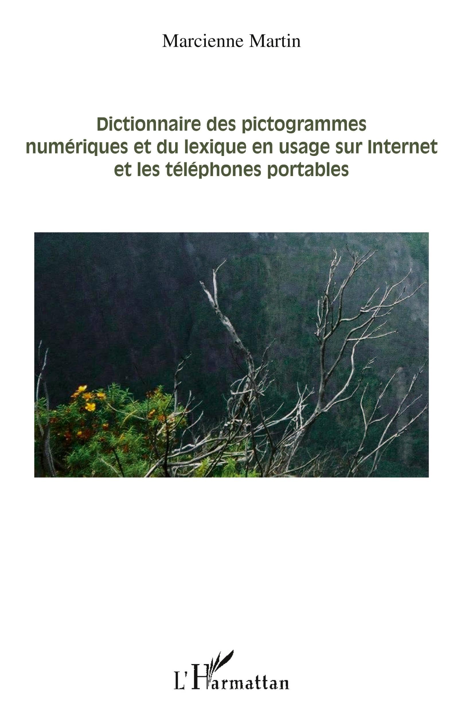 Dictionnaire des pictogrammes numériques et du lexique en usage sur internet et les téléphones portables Media & Communication