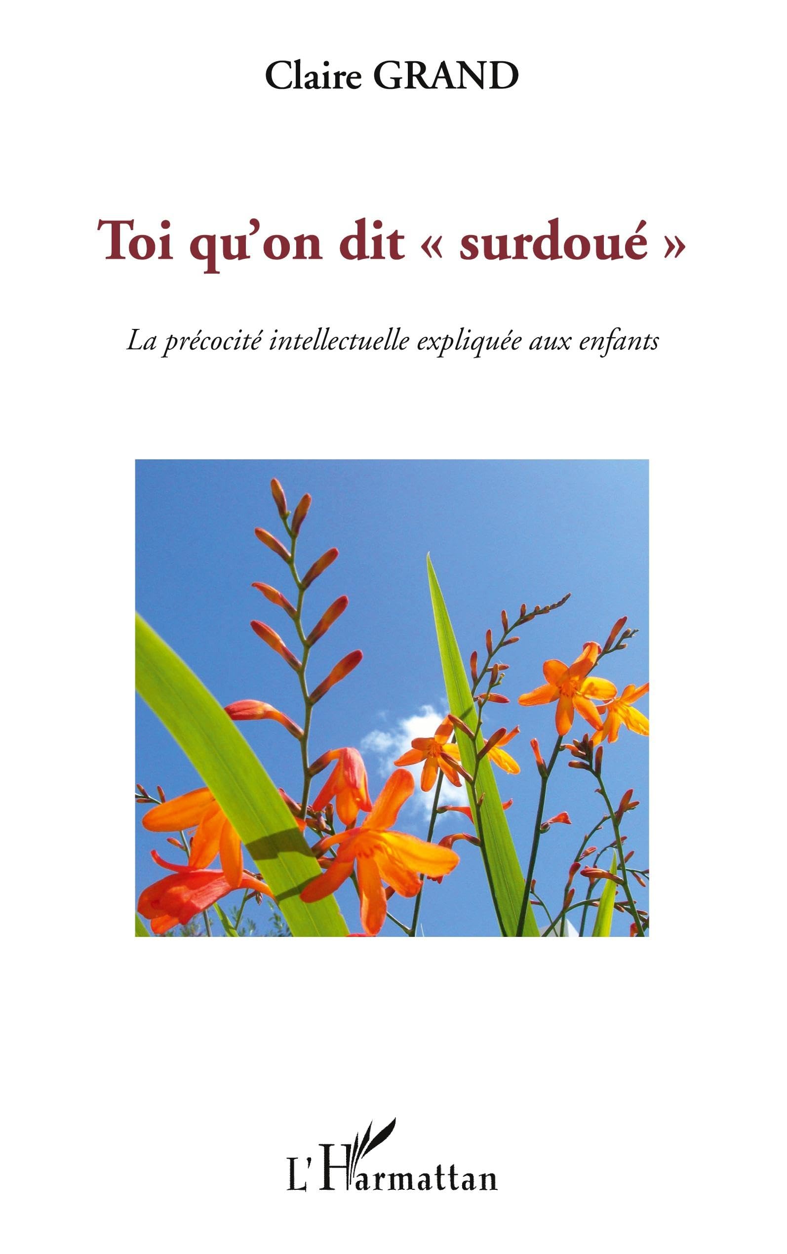 Toi qu'on dit surdoué"": La précocité intellectuelle expliquée aux enfants Education & Training