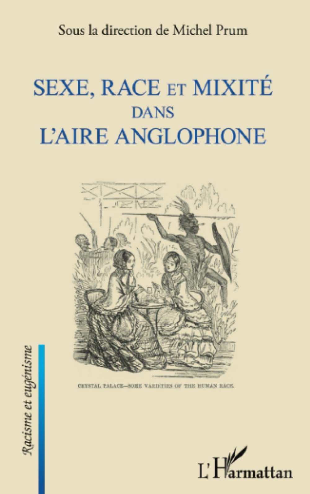 Sexe, race et mixité dans l'aire anglophone book
