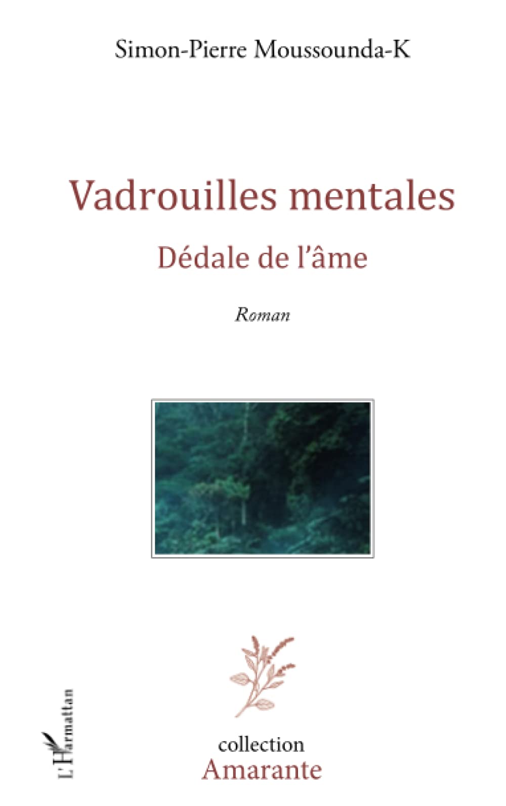 Vadrouilles mentales: Dédale de l'âme Roman book
