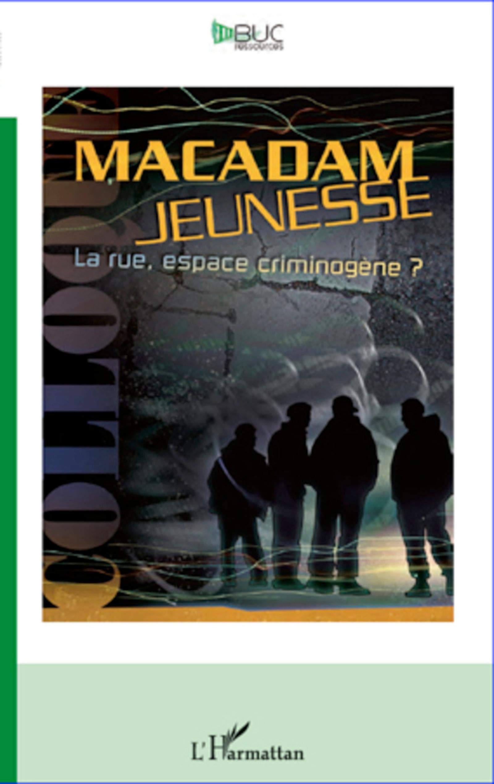 Macadam jeunesse: La rue, espace criminogène ? book