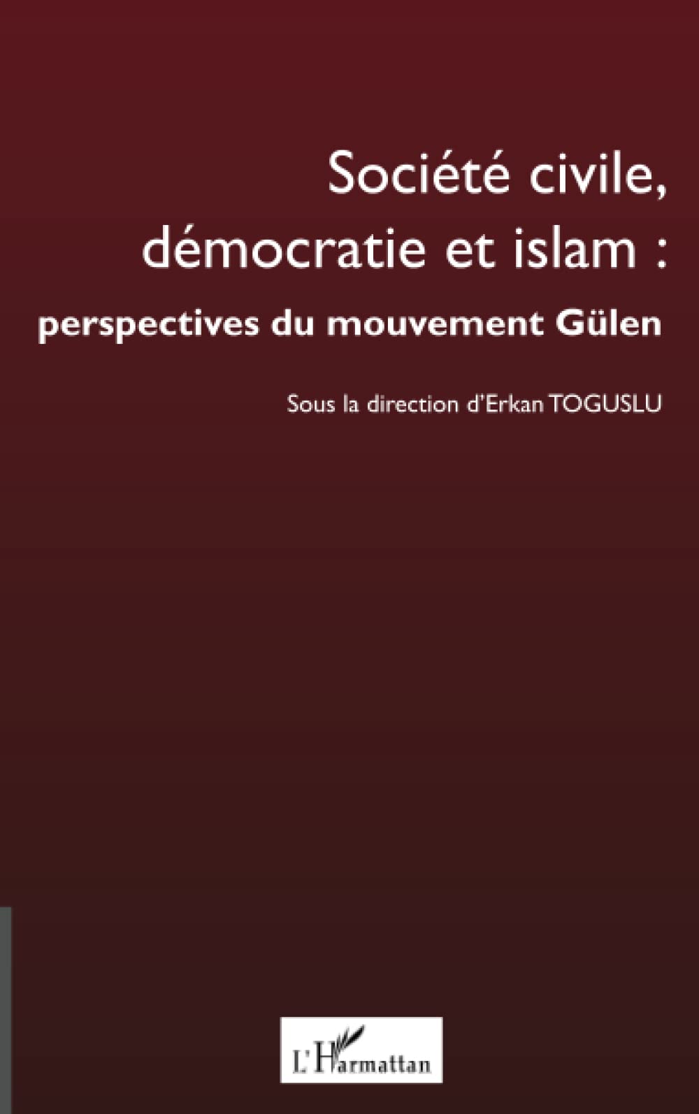 Société civile, démocratie et islam : perspectives du mouvement Gülen book