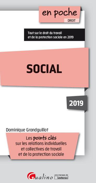 Social 2019 : les points clés sur les relations individuelles et collectives de travail et de protection sociale book
