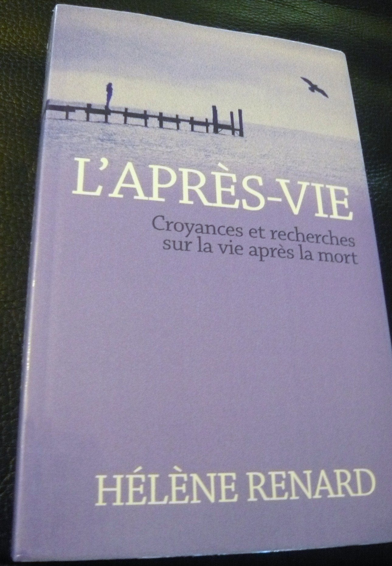 L'après vie , croyances et recherches sur la vie après la mort Books