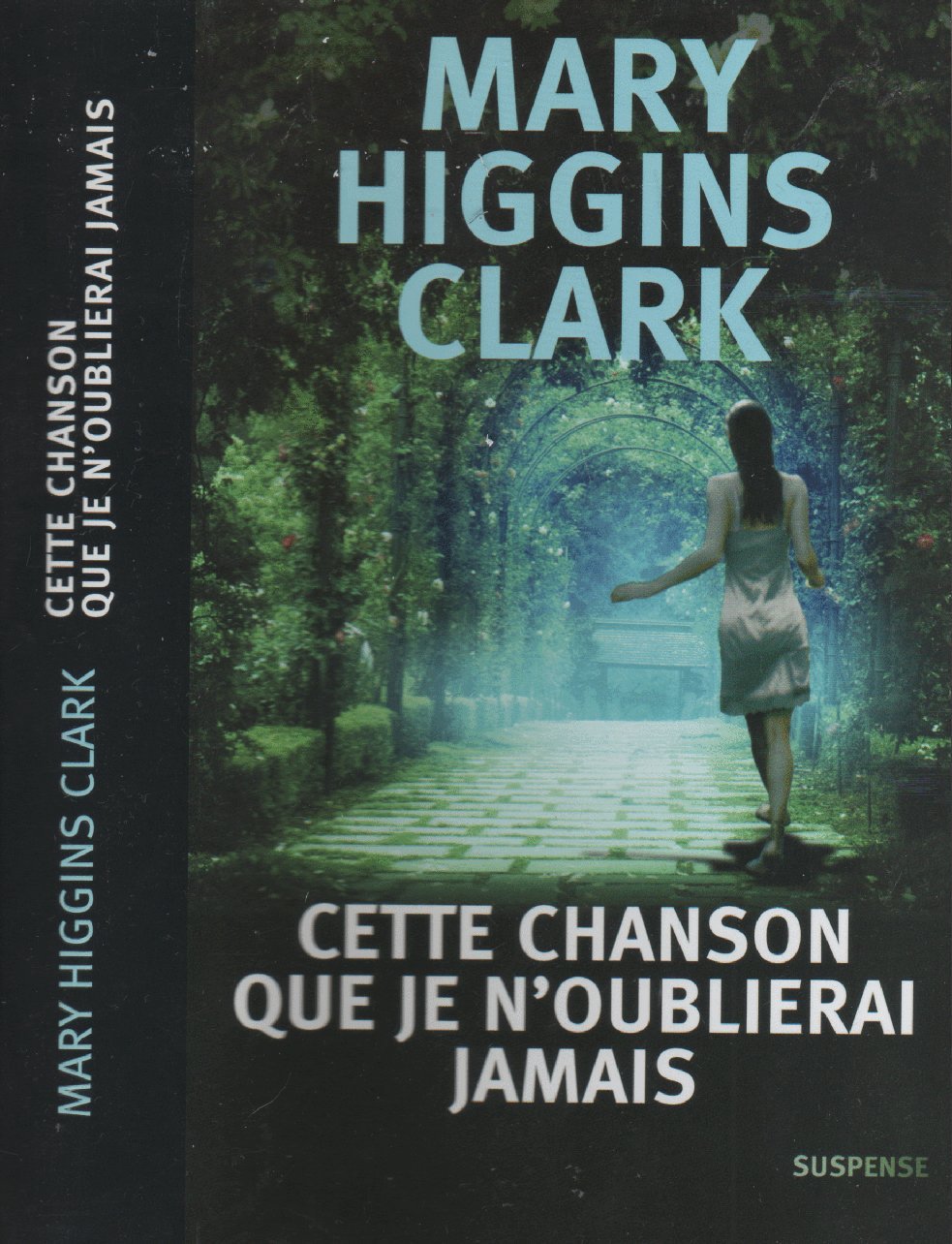Cette chanson que je n'oublierai jamais book
