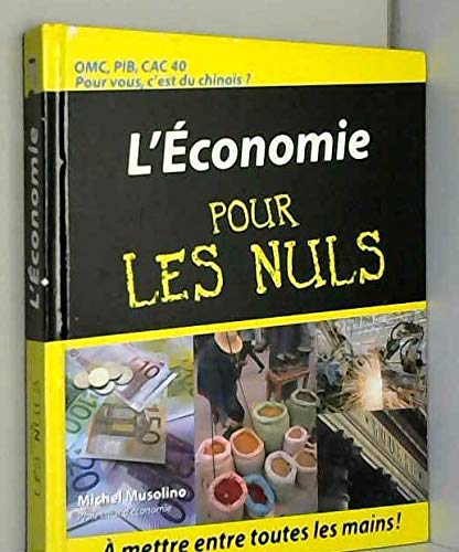 L'ECONOMIE POUR LES NULS Books