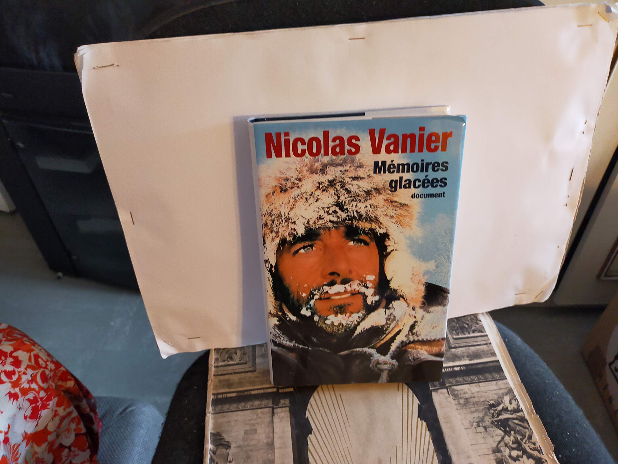 Mémoires glacées document Books