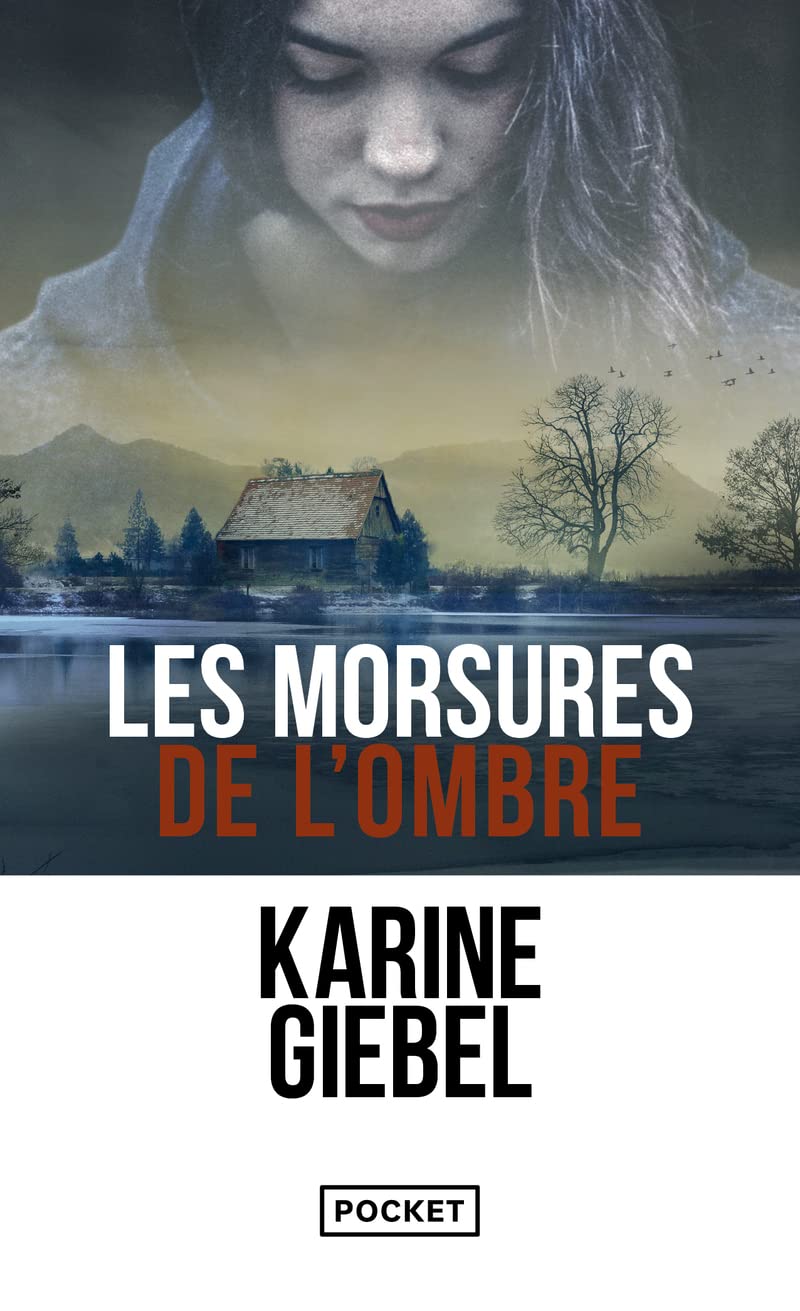 Les morsures de l' ombre: Ausgezeichnet mit dem Prix SNCF du Polar Francais 2009 Action & Adventure