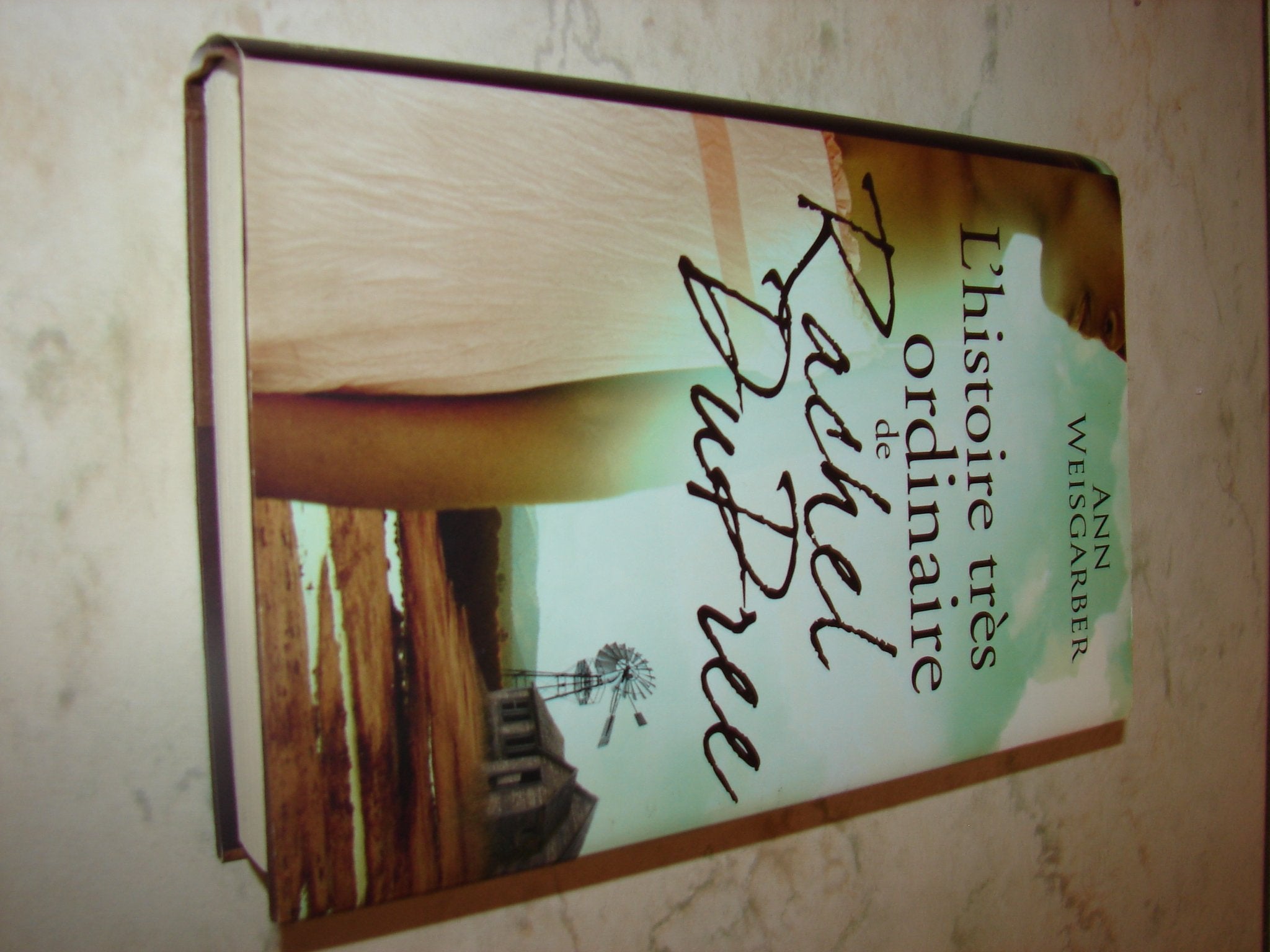 L'histoire très ordinaire de Rachel DuPree book