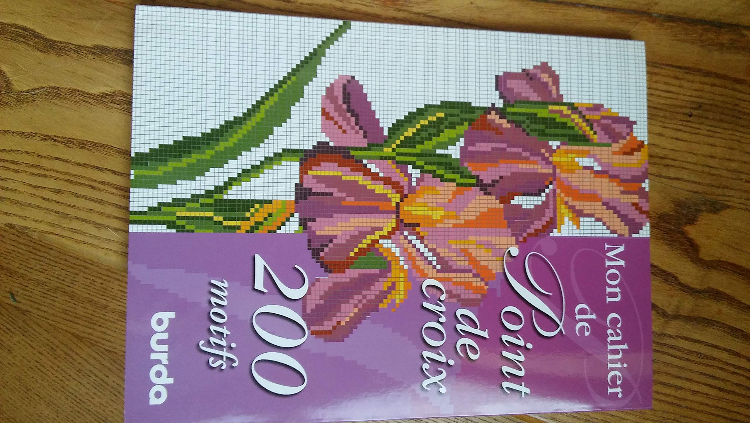 Point De Croix ; Plus De 200 Motifs A Broder - Collectif book