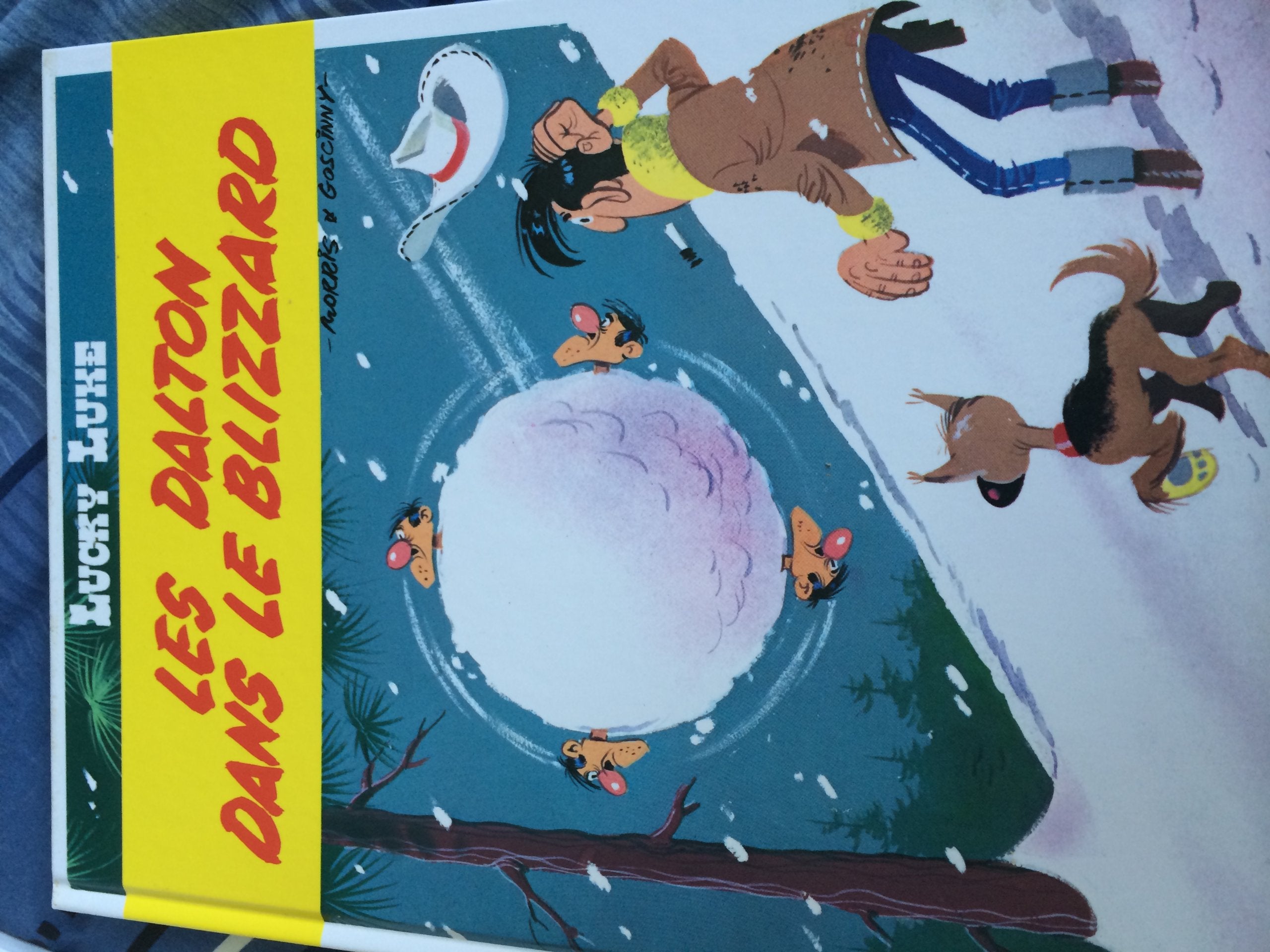 Lucky Luke album double les daltons dans le blizzard / les daltons courent toujours book
