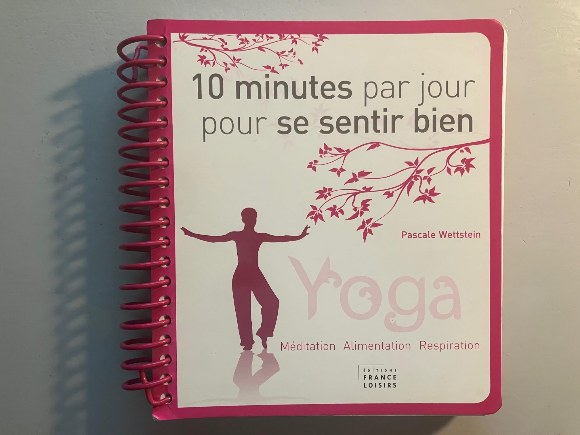 10 minutes par jour pour se sentir bien. Yoga, méditation, alimentation, respiration Lifestyle